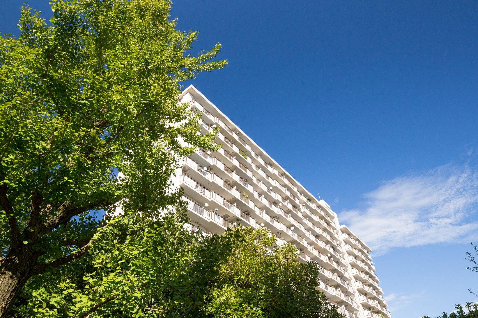 Apartment (condominium) in Japan